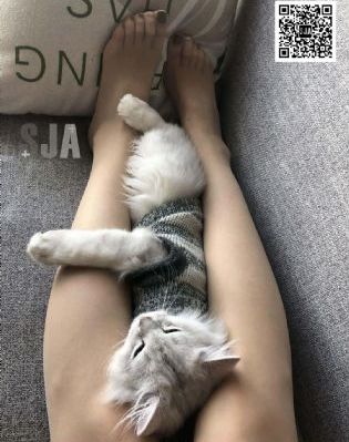 水密桃3