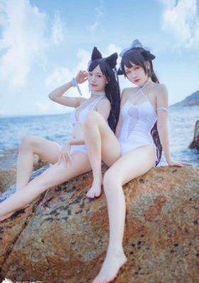 达达兔